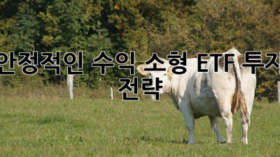 안정적인 수익! 소형 ETF 투자 전략