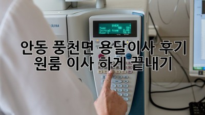 안동 풍천면 용달이사 후기: 원룸 이사, 轻松하게 끝내기!