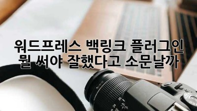 워드프레스 백링크 플러그인, 뭘 써야 잘했다고 소문날까? 🚀