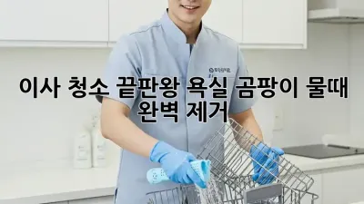 이사 청소 끝판왕: 욕실 곰팡이, 물때 완벽 제거!